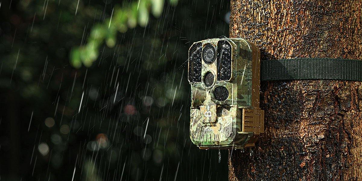 Use the trail camera to find critters and vandals