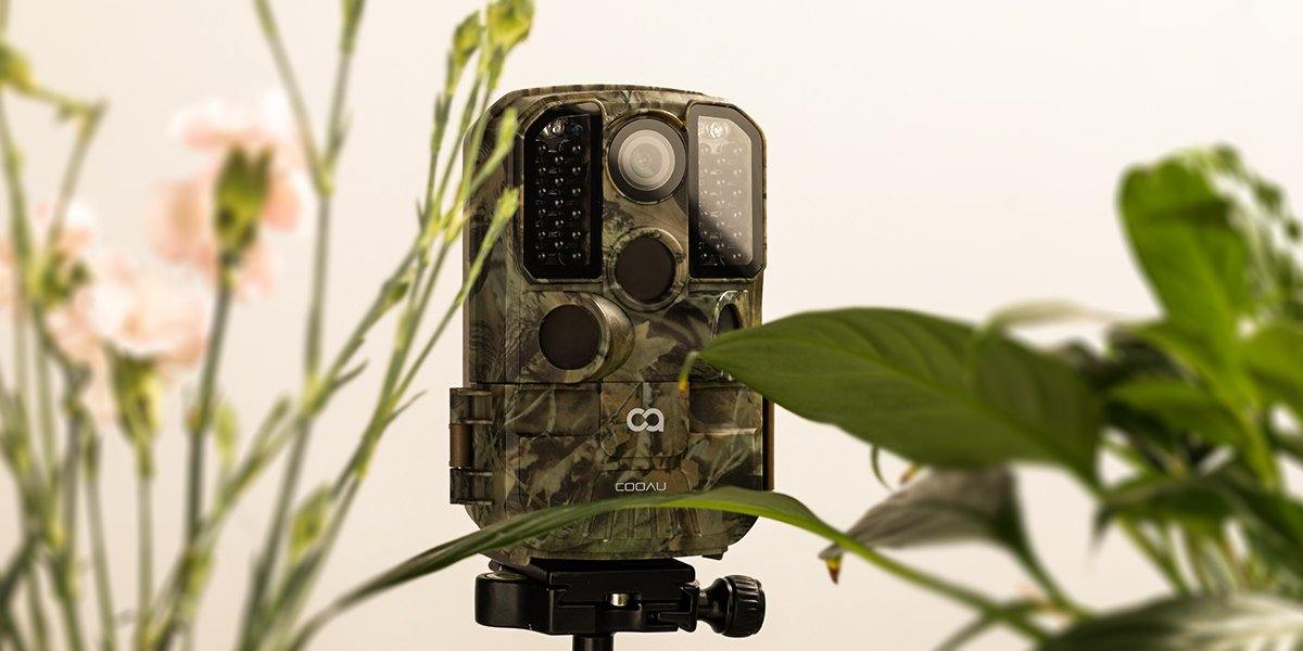time lapse frequency trail camera