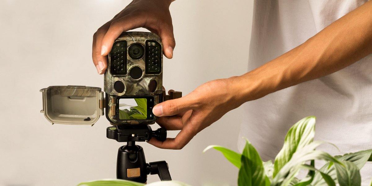 5 reasons to use a trail camera for time-lapse video of plant growth