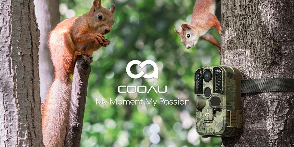 6 things you need to know before buying a trail camera