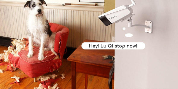 security camera-for pets-two way audio