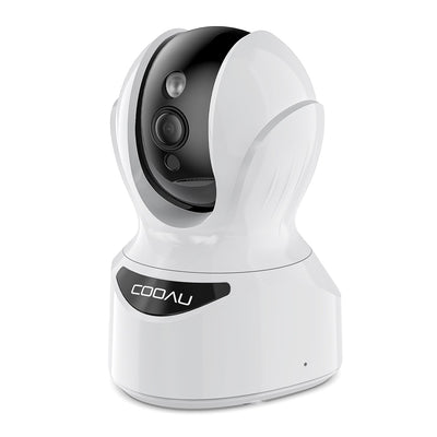 Security Camera 827